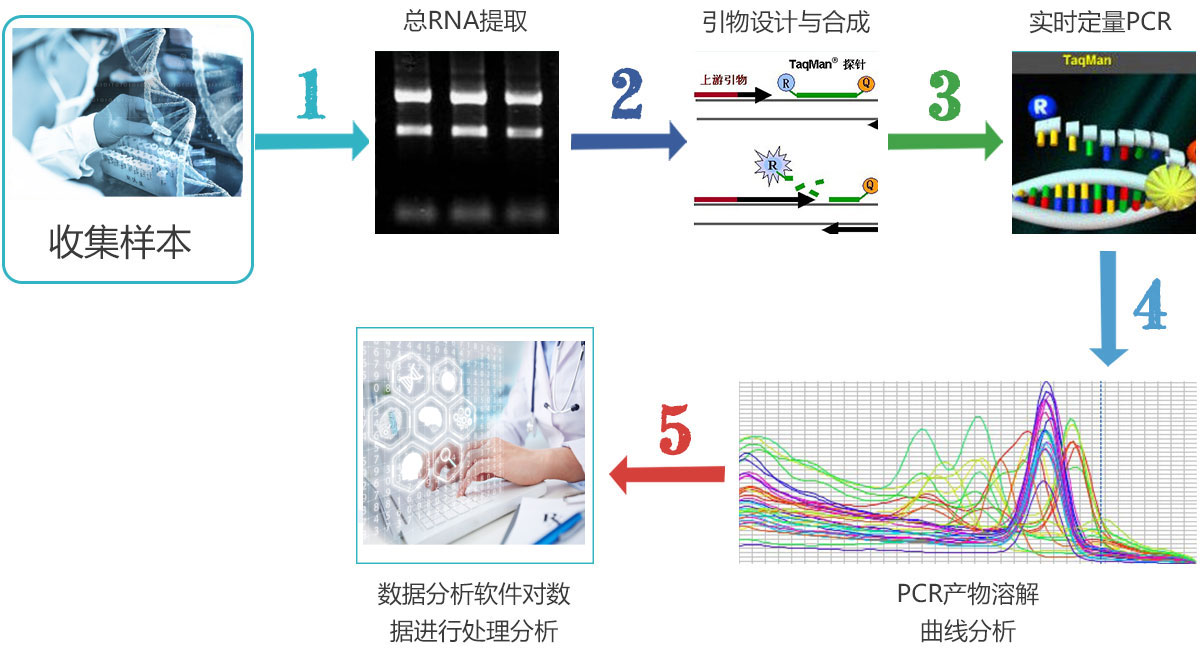 實(shí)驗(yàn)流程
