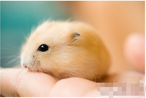 貴州細(xì)胞生物學(xué)實驗公司